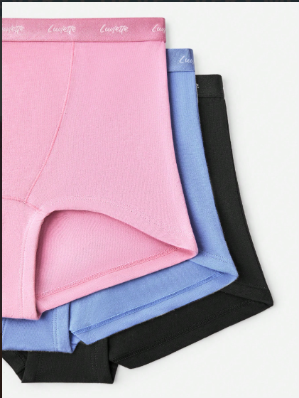 DUMMY - Panti Luvlette tipo bóxer de cintura alta L
